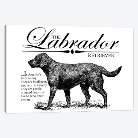 Vintage Labrador Retriever Storybook Style Canvas Print #TRA133} by Traci Anderson Canvas Art Print