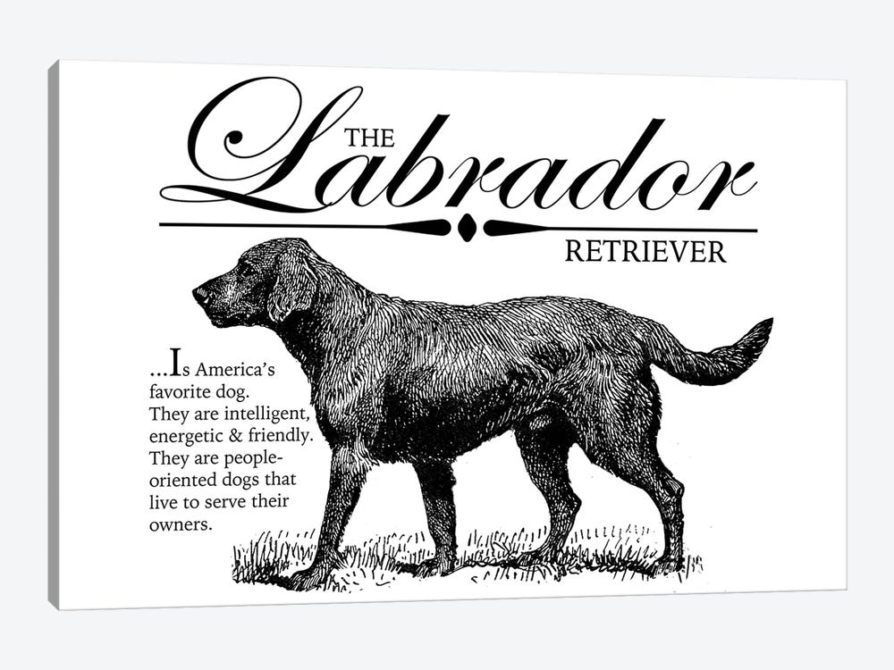 Vintage Labrador Retriever Storybook Style by Traci Anderson 1-piece Art Print