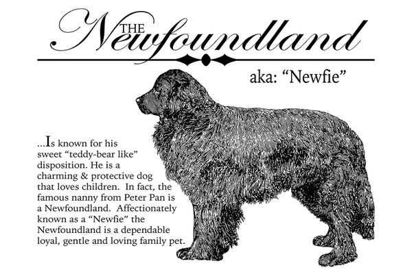 Newfoundlands: Vintage Newfoundland Storybook Style by Traci Anderson
