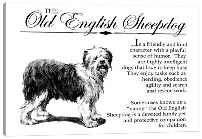 Vintage Old English Storybook Style Canvas Art Print - Old English Sheepdog Art