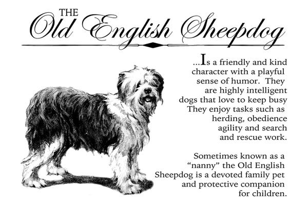 Old English Sheepdogs: Vintage Old English Storybook Style by Traci Anderson