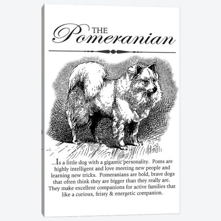 Vintage Pomeranian Storybook Style Canvas Print #TRA136} by Traci Anderson Canvas Art