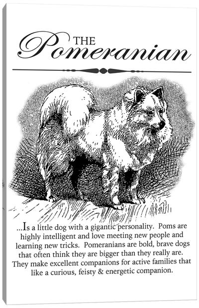 Vintage Pomeranian Storybook Style Canvas Art Print - Pomeranian Art