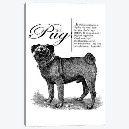 Vintage Pug Storybook Style Canvas Print #TRA137} by Traci Anderson Canvas Art