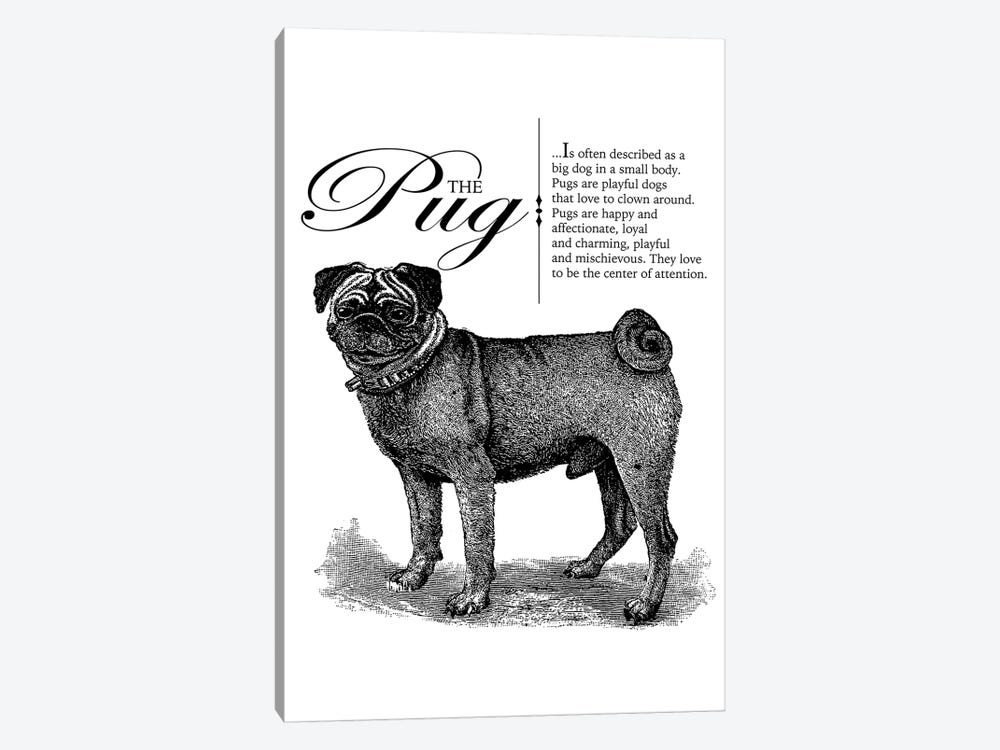 Vintage Pug Storybook Style by Traci Anderson 1-piece Canvas Print