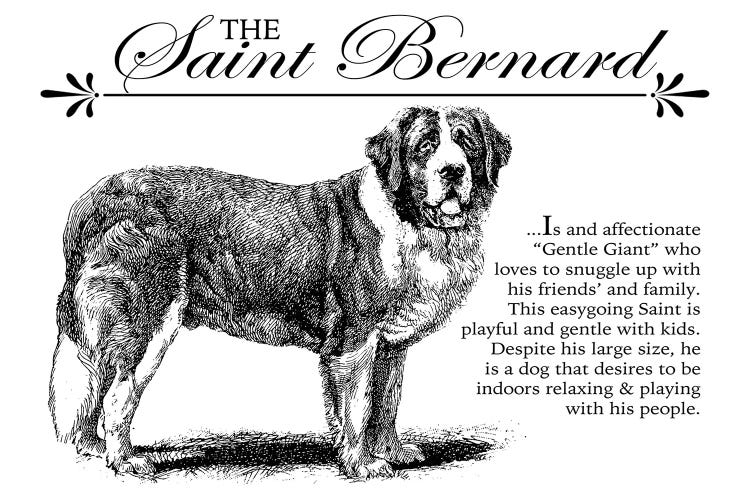 Vintage Saint Bernard Storybook Style