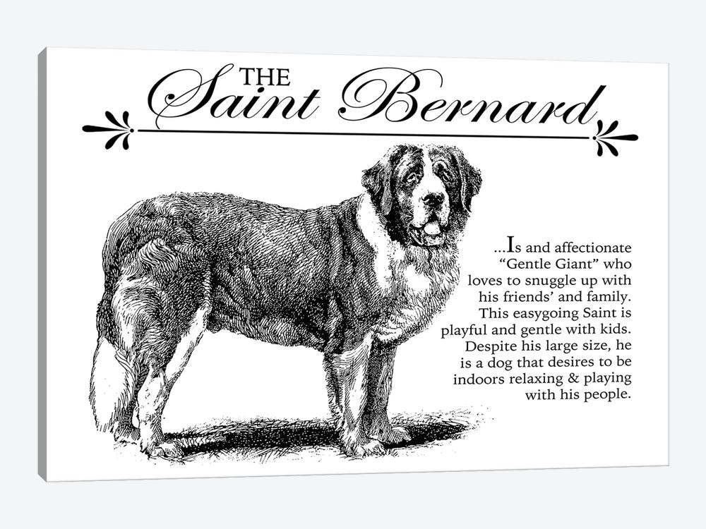 Vintage Saint Bernard Storybook Style by Traci Anderson 1-piece Canvas Wall Art