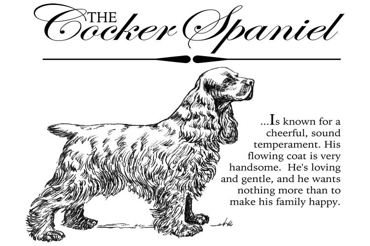 Vintage Storybook Style Cocker Spaniel