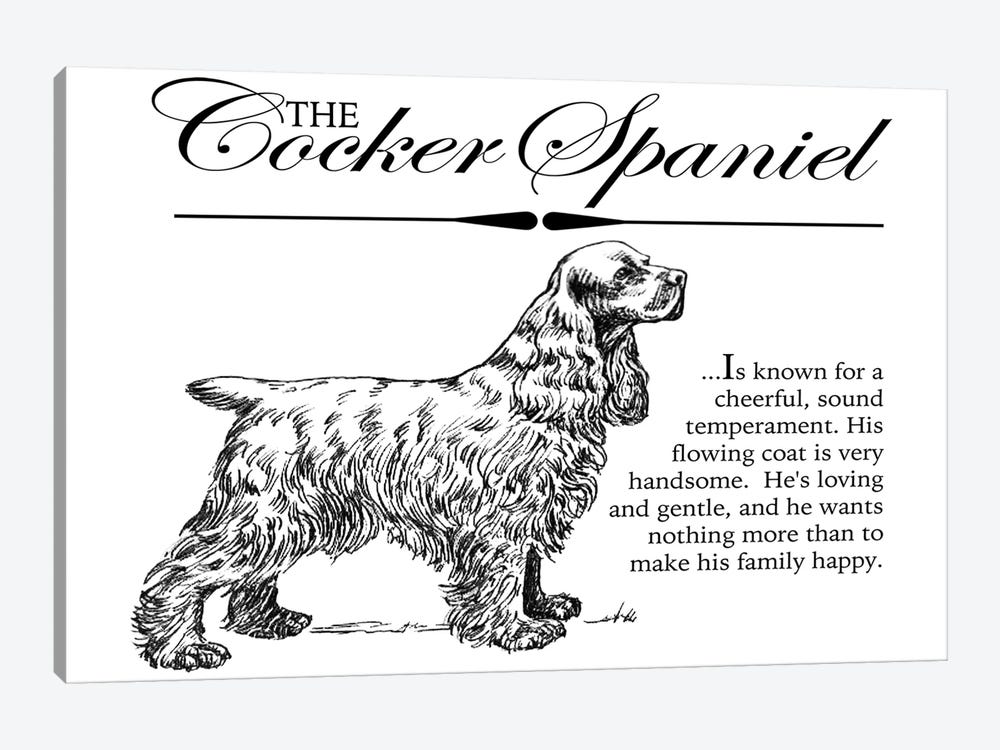Vintage Storybook Style Cocker Spaniel by Traci Anderson 1-piece Canvas Art Print