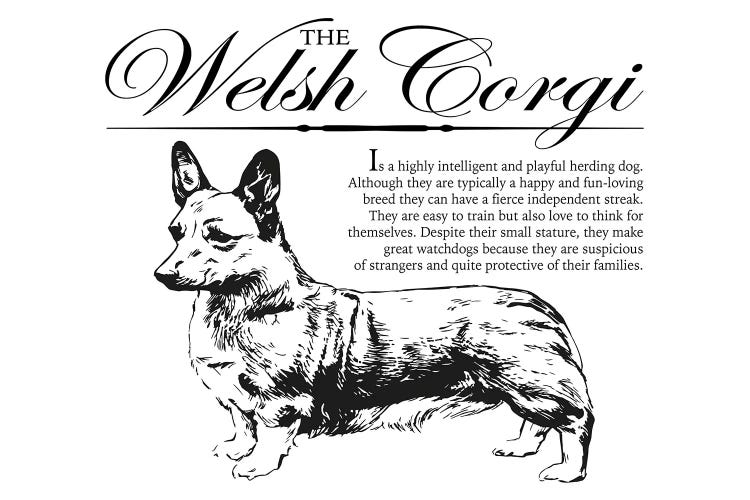 Vintage Welsh Corgi Storybook Style