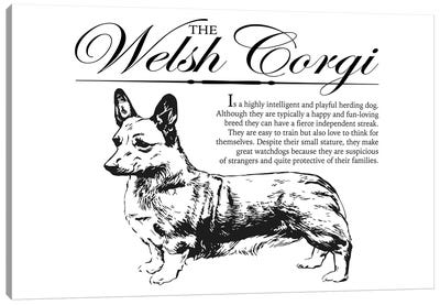 Vintage Welsh Corgi Storybook Style Canvas Art Print - Corgi Art