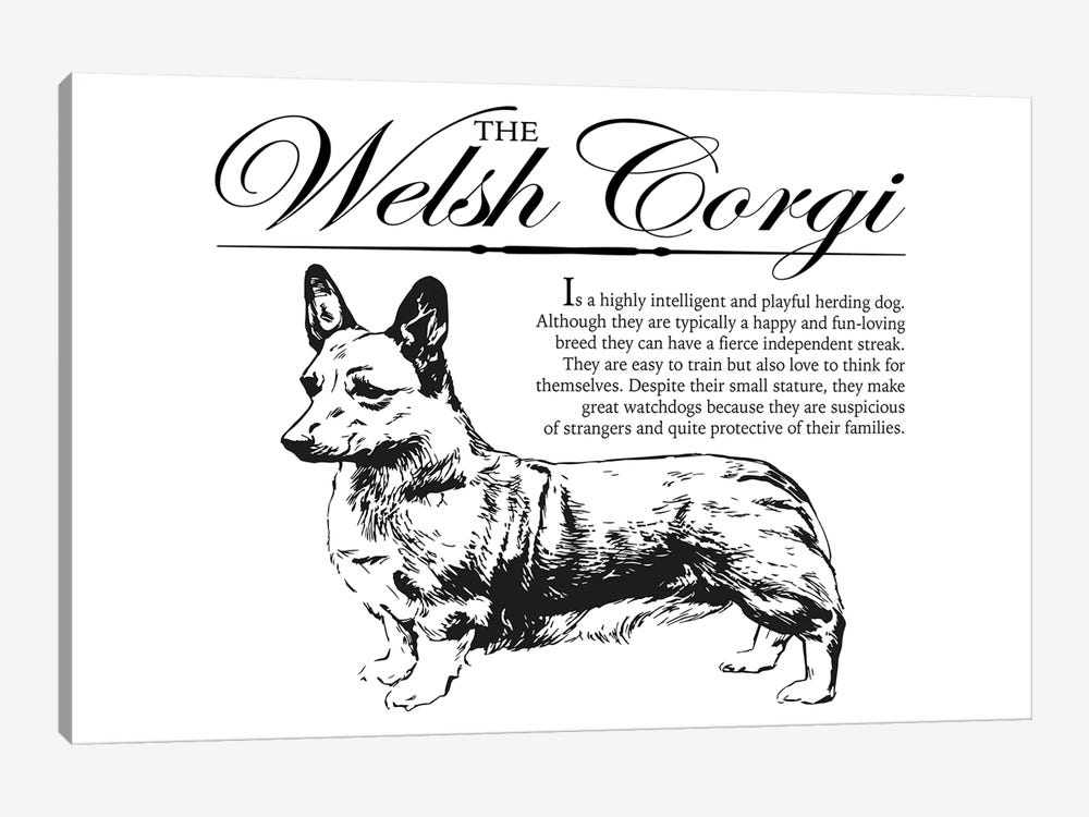 Vintage Welsh Corgi Storybook Style by Traci Anderson 1-piece Canvas Art