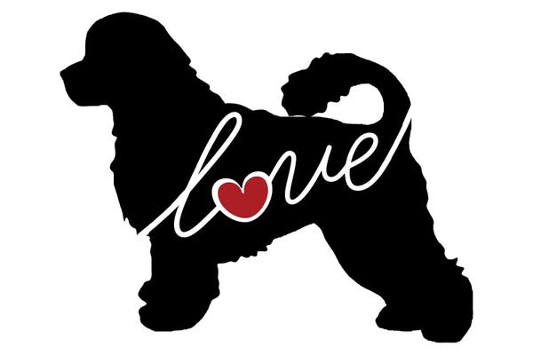 Portuguese Water Dogs: Waterdog by Traci Anderson