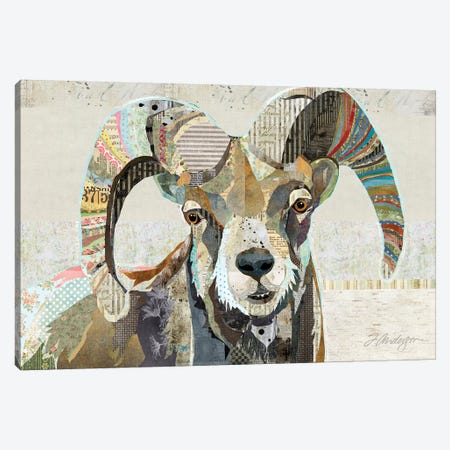 Wild Bighorn Sheep Canvas Print #TRA148} by Traci Anderson Canvas Artwork