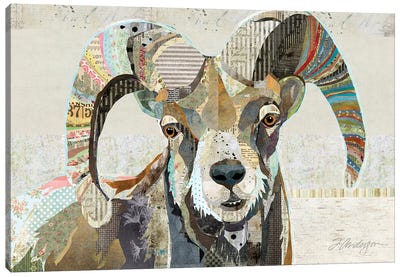 Wild Bighorn Sheep Canvas Art Print - Farmhouse Kitchen Art