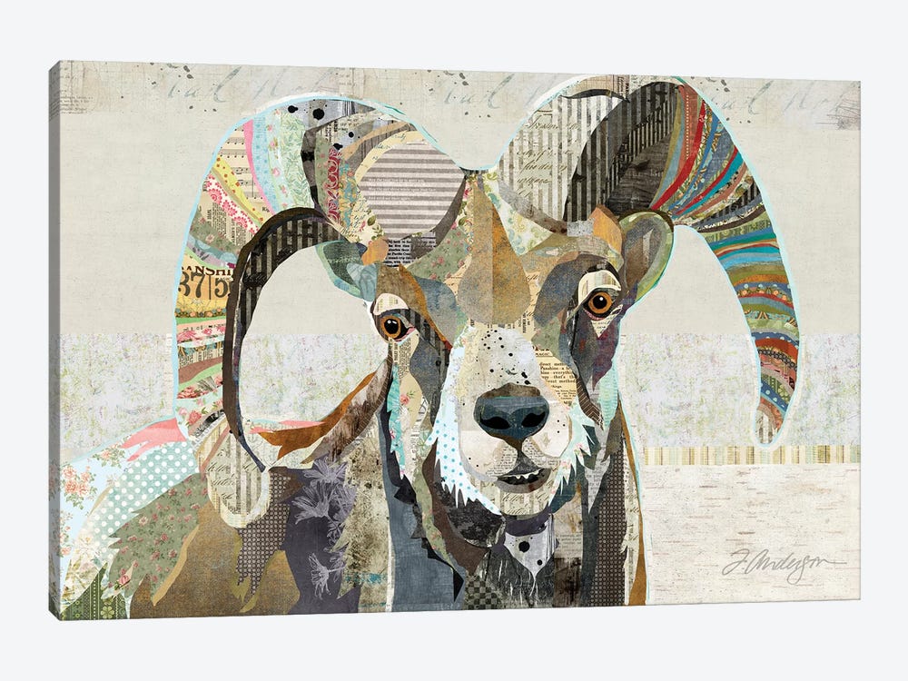 Wild Bighorn Sheep by Traci Anderson 1-piece Art Print