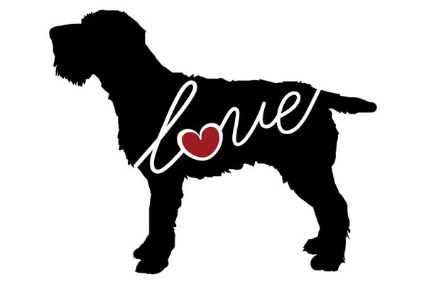 Traci Anderson: Wirehaired Griffon by Traci Anderson