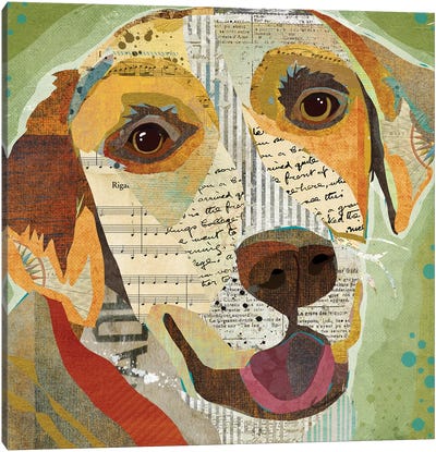 Yellow Lab Canvas Art Print - Labrador Retriever Art