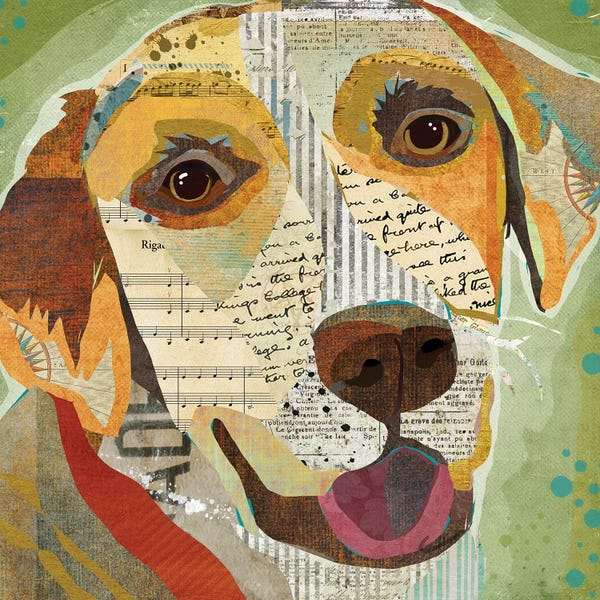 Traci Anderson: Yellow Lab by Traci Anderson