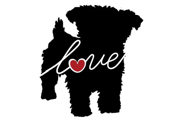 Traci Anderson: Yorkiepoo by Traci Anderson