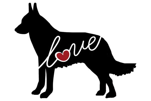 Belgian Malinois