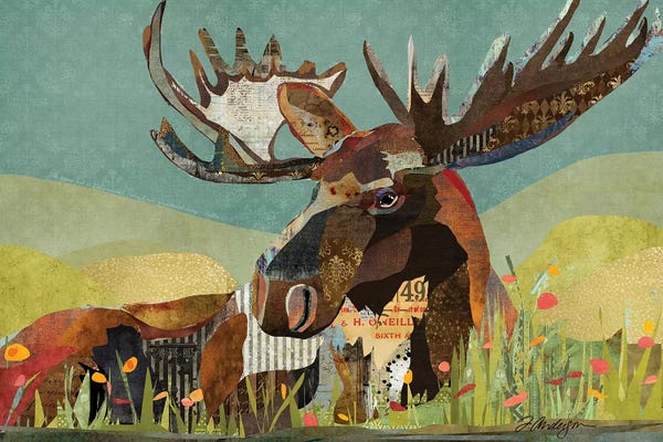 Deer: Sunbathing Beast by Traci Anderson