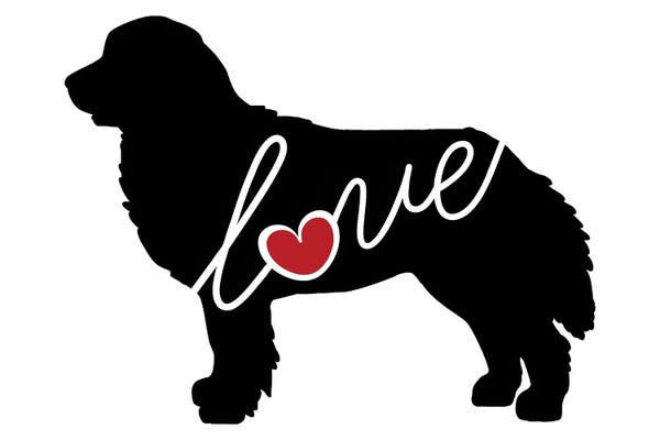 Traci Anderson: Bernese Mountain Dog by Traci Anderson