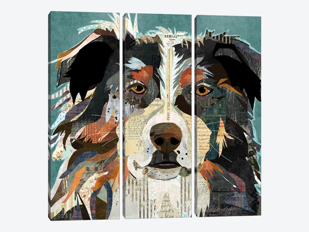 Bright Eyed Aussie by Traci Anderson 3-piece Canvas Wall Art