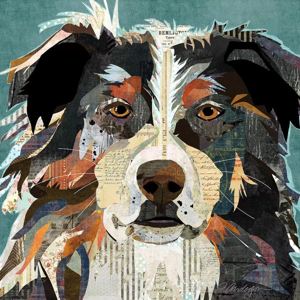 Traci Anderson: Bright Eyed Aussie by Traci Anderson