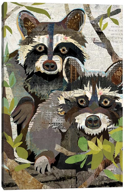 Four Eyes On You Canvas Art Print - Raccoon Art