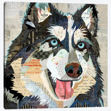 Steely Eyed Siberian Husky Canvas Print #TRA173} by Traci Anderson Canvas Print