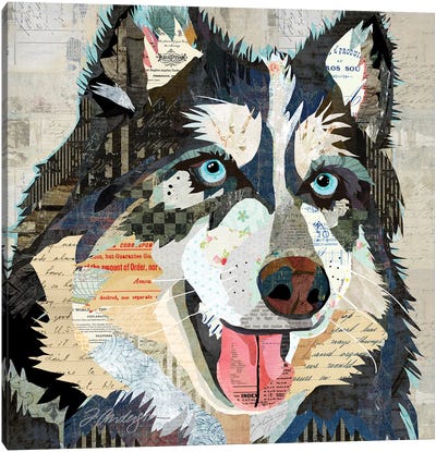 Steely Eyed Siberian Husky Canvas Art Print - Siberian Husky Art