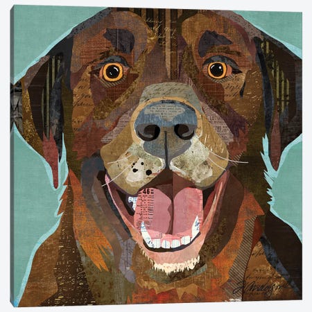 Grinning Chocolate Lab Canvas Print #TRA177} by Traci Anderson Canvas Art