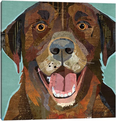 Grinning Chocolate Lab Canvas Art Print - Traci Anderson