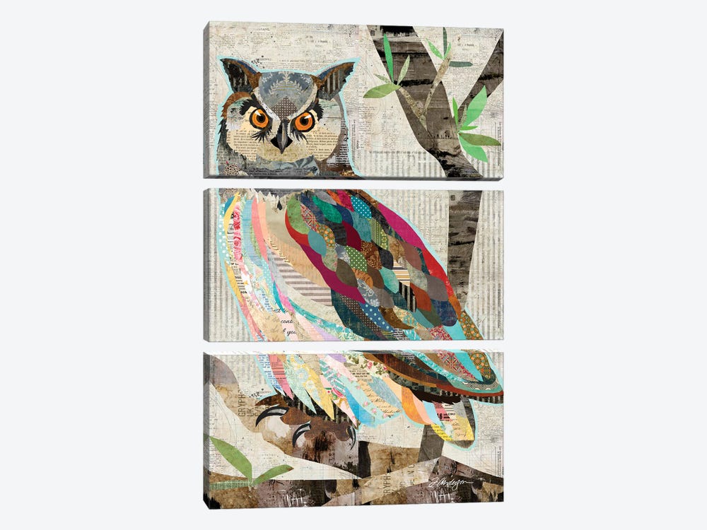 Owl Watch Over You by Traci Anderson 3-piece Canvas Artwork