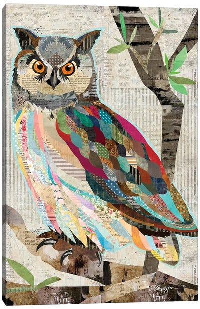 Owl Watch Over You Canvas Art Print - Traci Anderson