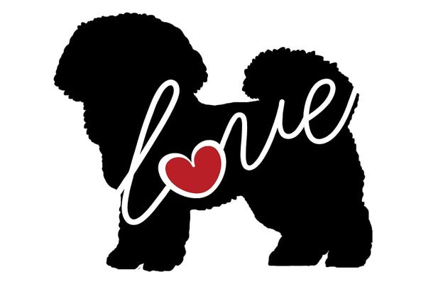 Traci Anderson: Bichon by Traci Anderson