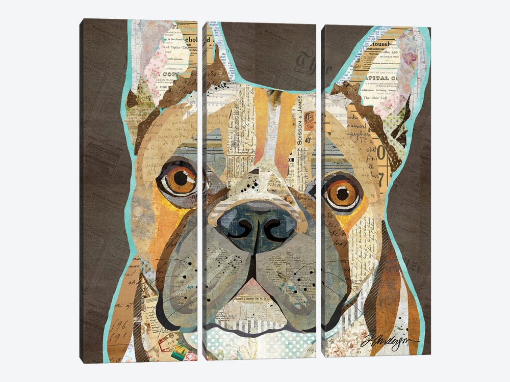 Collage French Bulldog by Traci Anderson 3-piece Canvas Print