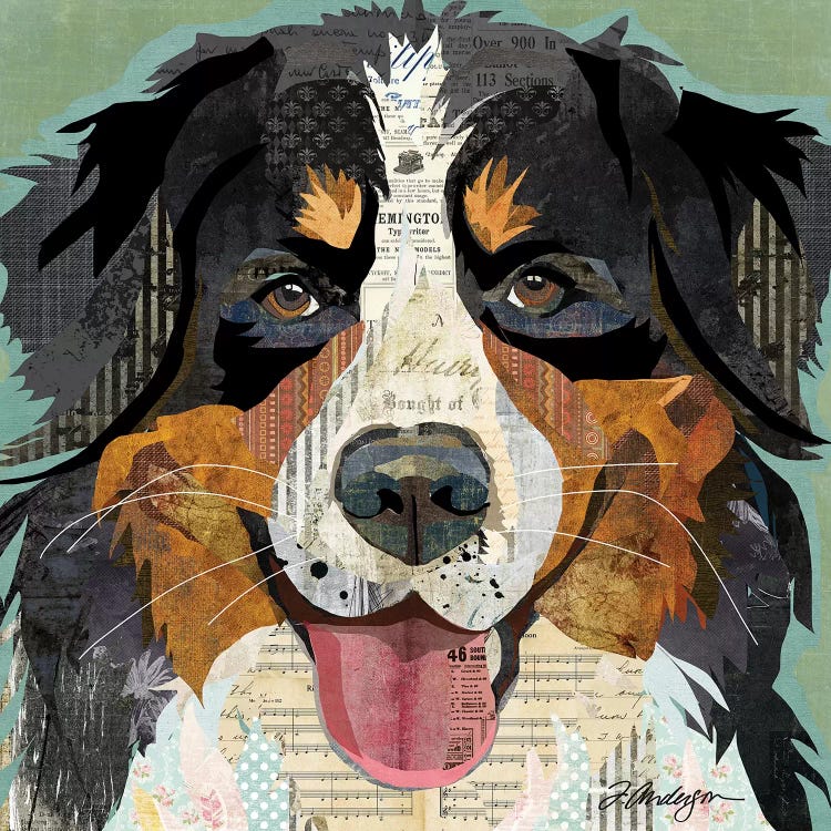 Bernese Mountain Dog Collage