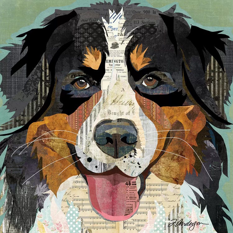 Bernese Mountain Dog Collage by Traci Anderson wall art
