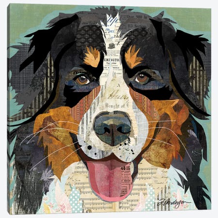 Bernese Mountain Dog Collage Canvas Print #TRA181} by Traci Anderson Canvas Art