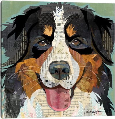 Bernese Mountain Dog Collage Canvas Art Print - Traci Anderson
