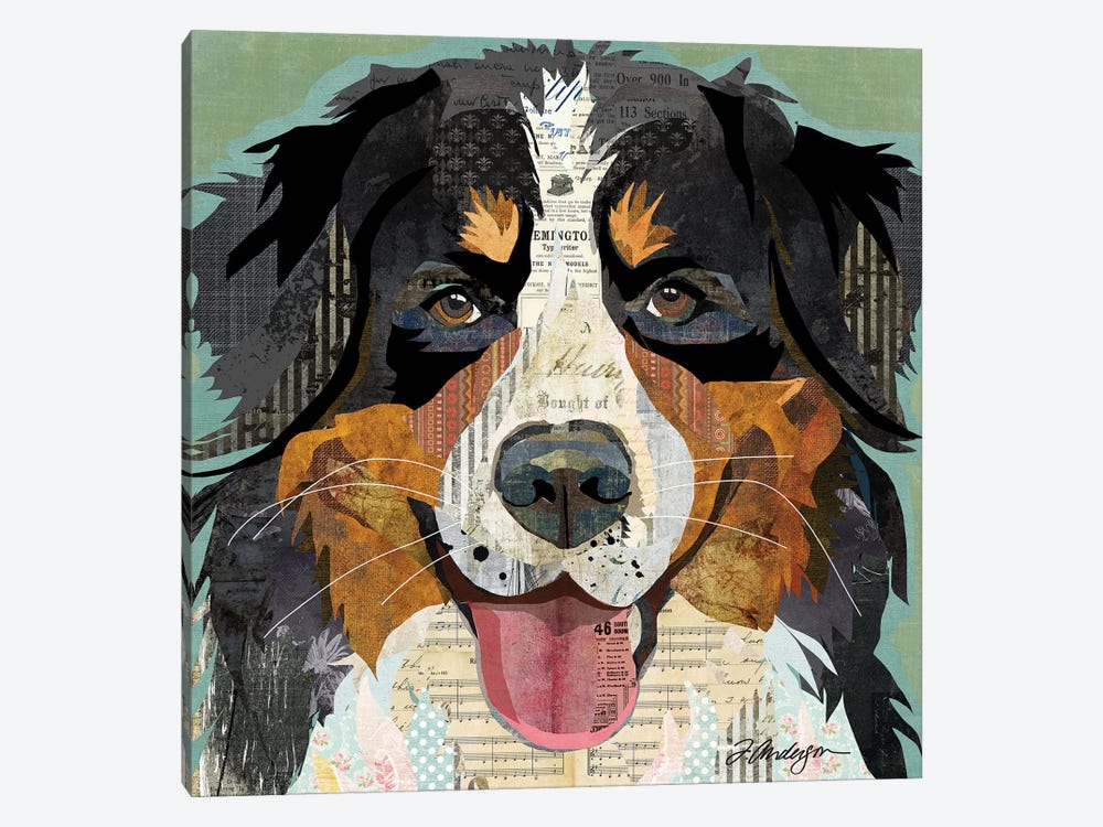 Bernese Mountain Dog Collage by Traci Anderson 1-piece Canvas Wall Art