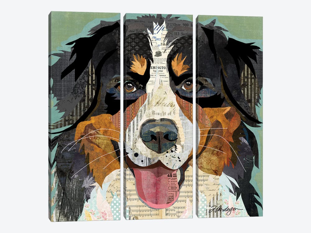 Bernese Mountain Dog Collage by Traci Anderson 3-piece Canvas Wall Art