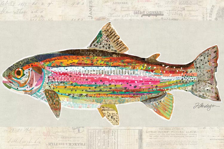 Collage Big Horn River Rainbow Trout