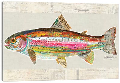 Collage Big Horn River Rainbow Trout Canvas Art Print - Trout Art