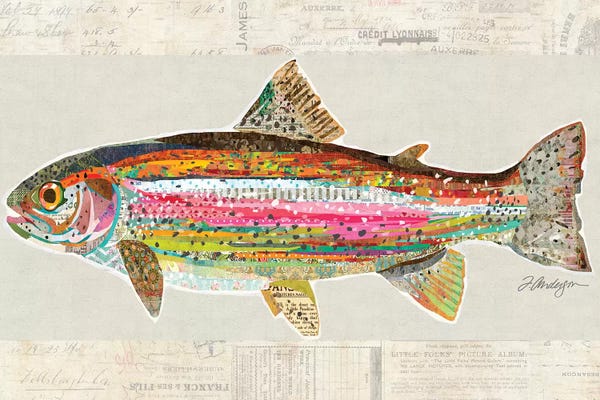 Trout: Collage Big Horn River Rainbow Trout by Traci Anderson