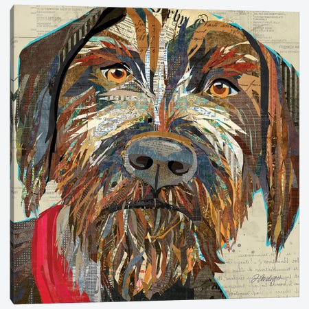 Collage German Wirehaired Pointer Canvas Print #TRA184} by Traci Anderson Canvas Print