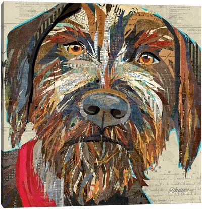Collage German Wirehaired Pointer Canvas Art Print - Traci Anderson