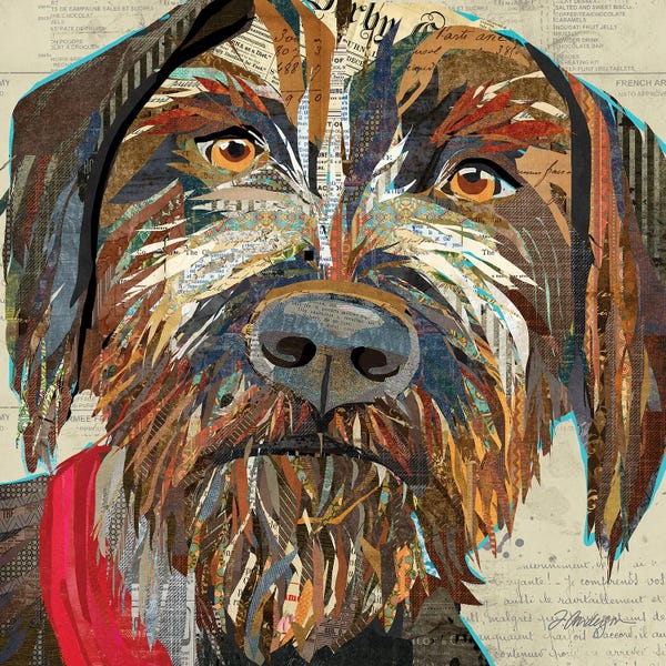 Traci Anderson: Collage German Wirehaired Pointer by Traci Anderson